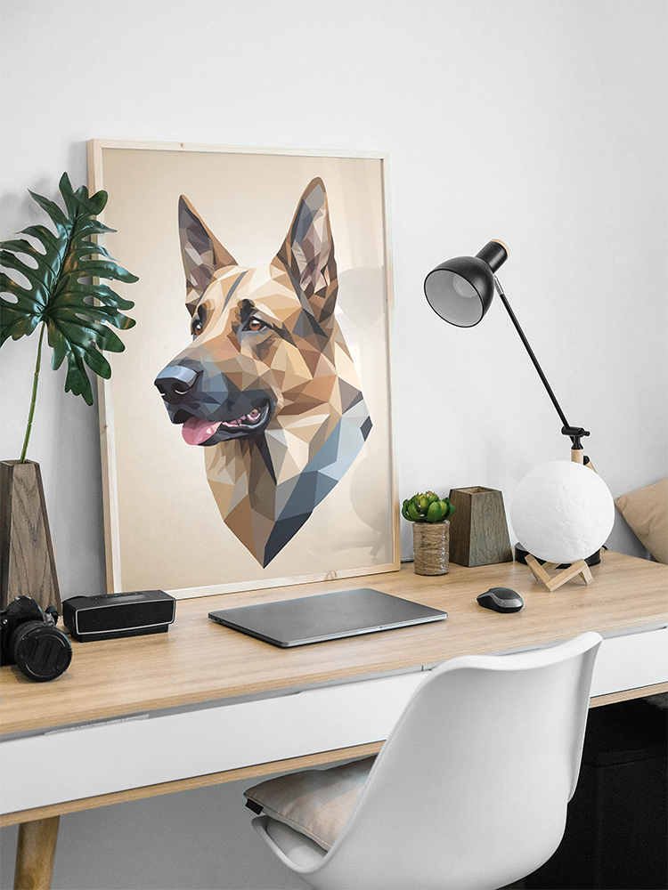 Pastor Alemão - Imagem 4